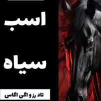 دانلود کتاب اسب سیاه از تاد رز