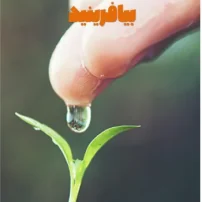 کتاب زندگی خود را دوباره بیافرینید